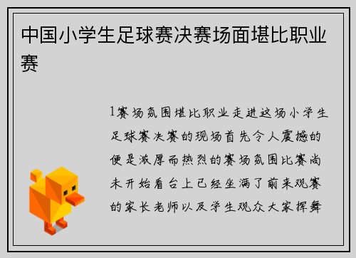 中国小学生足球赛决赛场面堪比职业赛